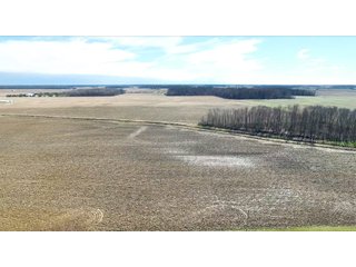 Property photo 1 - LAND AUCTION - 157+/- ACRES OFFERED IN 4 TRACTS IN WHITLEY COUNTY, INDIANA